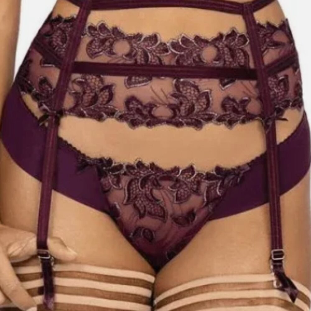 V-9478 Axami Acai Berry Sheer Thong, Small, NEW, NWT, NEVER WORN